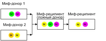 Схема 2 Реципиенты образованные двумя донорами Так же следует учесть что - фото 2