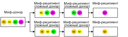 Схема 3 Независимые цепи реципиентов образованные единым донором Следует - фото 3