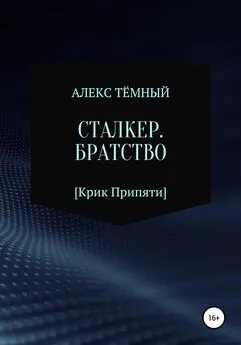 Алекс Тёмный - Сталкер. Братство