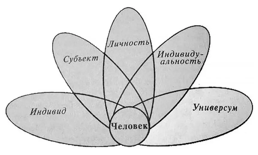 Рис 118 Модусы человеческой реальности Источник Слободчиков В И Исаев - фото 30