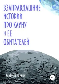 Валерий Туркин - Взаправдашние истории про Клуну и ее обитателей