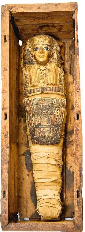 Египетская мумия 16 Египетская мумия вероятно ребенок птолемеевский - фото 18