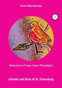 Анна Маслякова - Животные и Птицы Санкт-Петербурга. Animals and Birds of St. Petersburg