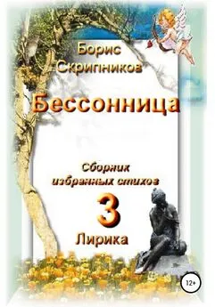 Борис Скрипников - Бессонница. Сборник избранных стихов. Книга 3. Лирика