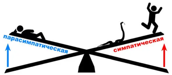 Позитивный стресс например от победы в соревнованиях неожиданной находки - фото 36