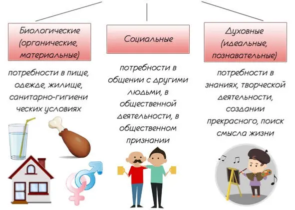 витальные есть размножаться спать экономить энергию лениться и др - фото 38