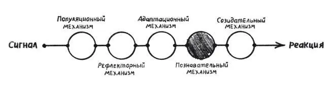 Познавательный механизмдобавил к системе реагирования потребность записывать - фото 8