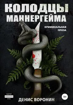 Денис Воронин - Колодцы Маннергейма