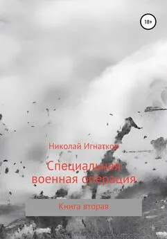 Николай Игнатков - Специальная военная операция. Книга вторая