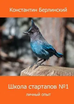 Константин Берлинский - Школа стартапов №1: Личный опыт. 2-ое издание с иллюстрациями