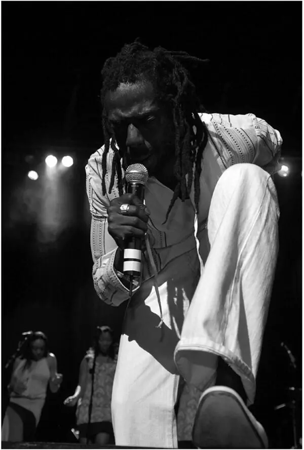 Buju Banton Gregg Creative Commons Attribution 20 Generic license Глава 2 - фото 2