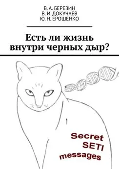 В. Березин - Есть ли жизнь внутри черных дыр?