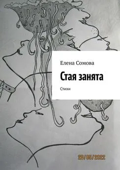 Елена Сомова - Стая занята. Стихи