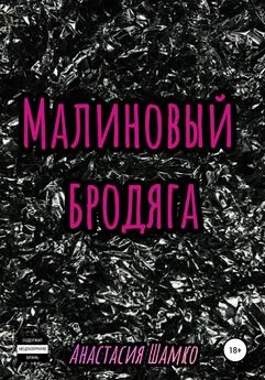 Анастасия Шамко - Малиновый бродяга