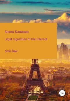 Антон Калинин - Legal regulation of the Internet