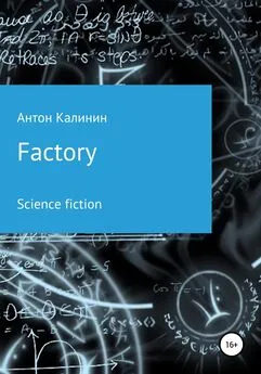 Антон Калинин - Factory