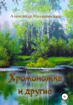 Александр Малиновский - Хромоножка и другие: повесть и рассказы для детей