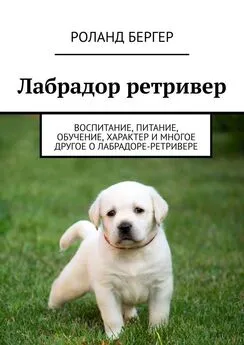 Pоланд Бергер - Лабрадор ретривер. Воспитание, питание, обучение, характер и многое другое о лабрадоре-ретривере