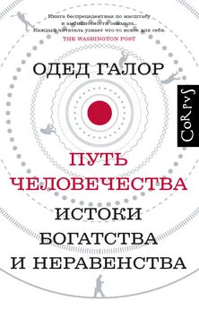 Одед Галор - Путь человечества. Истоки богатства и неравенства