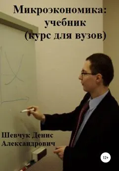 Денис Шевчук - Микроэкономика: учебник (курс для вузов)