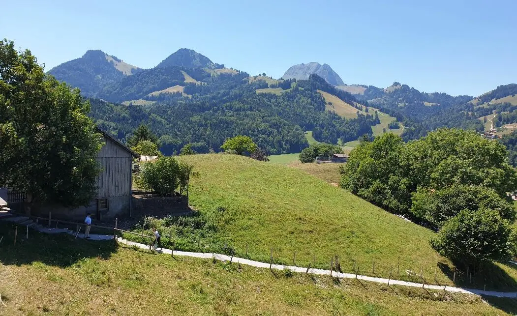 Иногда Грюйер называют не городом а швейцарской деревней И на мой взгляд - фото 3