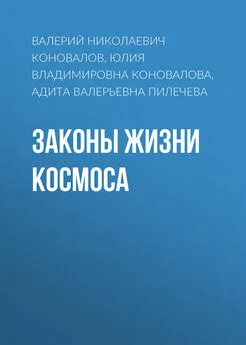 Валерий Коновалов - Законы Жизни Космоса