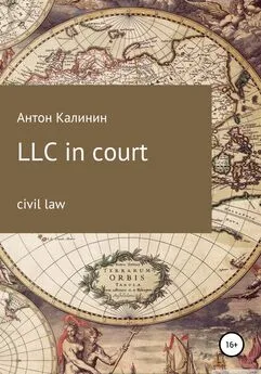 Антон Калинин - LLC in court