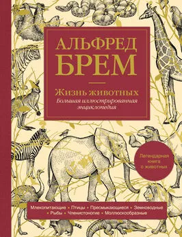 Альфред Эдмунд Брэм - Жизнь животных. Большая иллюстрированная энциклопедия