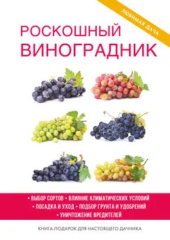 Екатерина Животовская - Роскошный виноградник