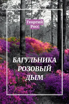 Георгий Росс - Багульника розовый дым