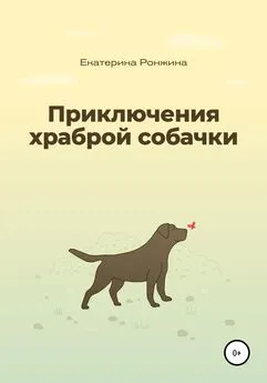 Екатерина Ронжина - Приключения храброй собачки