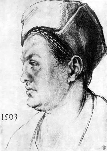 Альбрехт Дюрер Портрет Вилибальда Пиркгеймера 1509 Дом куда в 1455 году - фото 108