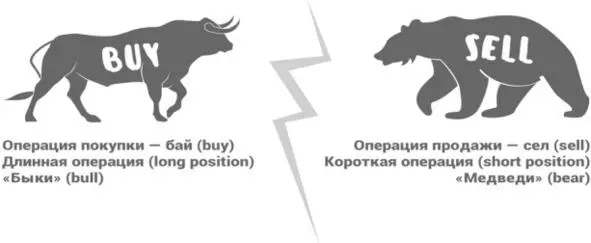 С этими названиями на рынках связано очень много различных терминов В компании - фото 11
