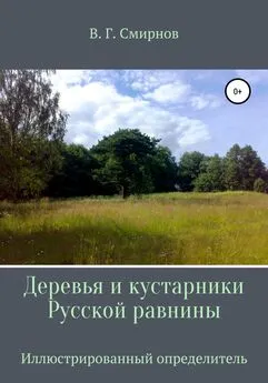 Виктор Смирнов - Деревья и кустарники Русской равнины