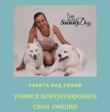 Почему обычно собаки не слушаются своих хозяев Потому что часто получается - фото 11