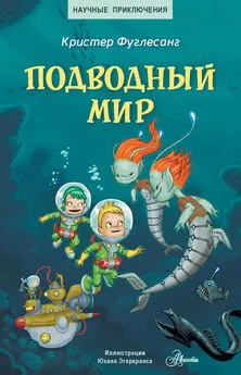 Кристер Фуглесанг - Подводный мир