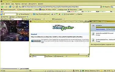 Video Downloader обрабатывает линки с шестидесяти порталов использующих - фото 23