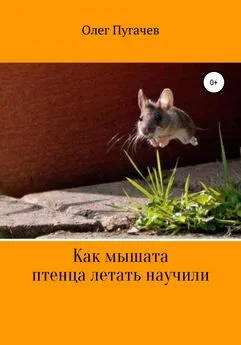 Олег Пугачев - Как мышата птенца летать научили