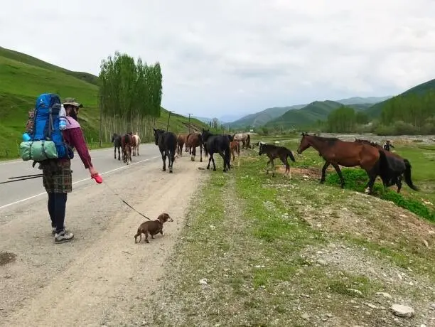 С ногами и правда вышло очень жизненно Встречные спрашивают Валеру зачем он - фото 15
