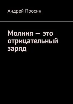 Андрей Просин - Молния – это отрицательный заряд