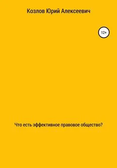 Юрий Козлов - Что есть эффективное правовое общество?