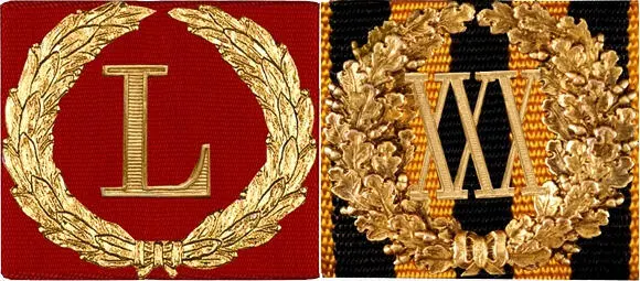 Знак отличия За безупречную службу 50 лет на ленте ордена За заслуги перед - фото 1