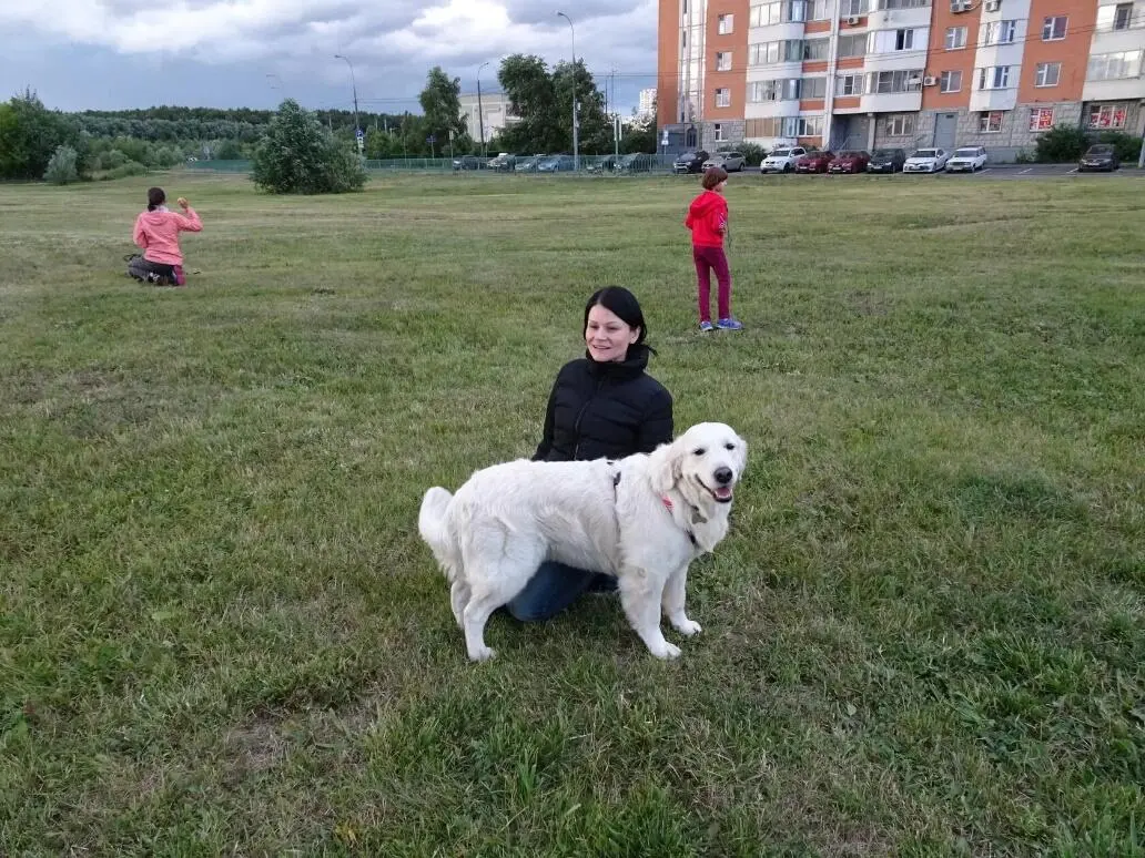 Привязанность Что это такое Википедия определяет еe как чувство близости - фото 3