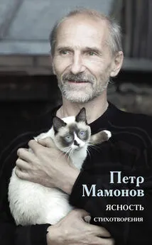 Пётр Мамонов - Ясность