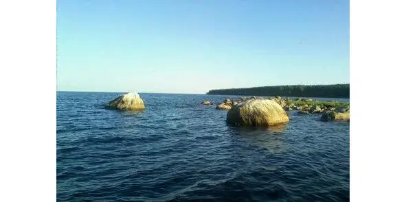 Берёзовые острова в Финском заливе Жизнь на тренировочной базе была - фото 3