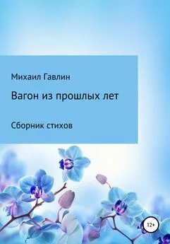 Михаил Гавлин - Вагон из прошлых лет. Сборник стихов