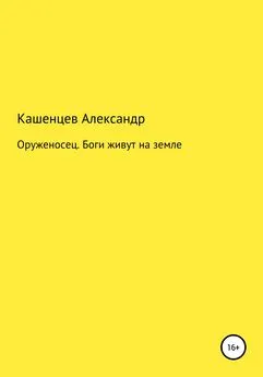 Александр Кашенцев - Оруженосец. Боги живут на земле