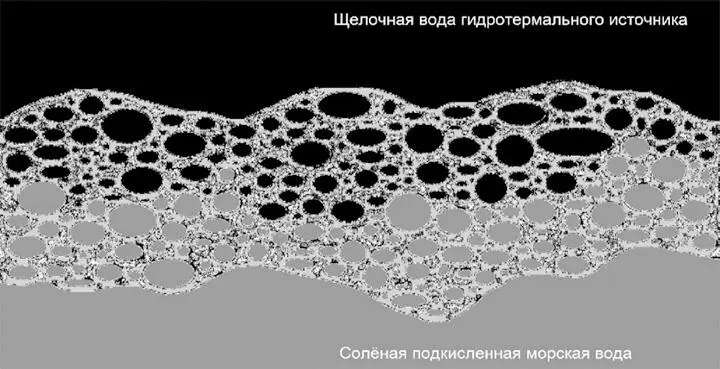 Рис 2 Микропористые ячейки проводящие щелочную воду гидротермального - фото 2