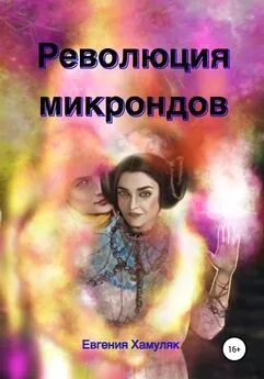 Евгения Хамуляк - Революция микрондов