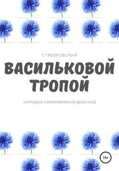 Стребковский - Васильковой тропой